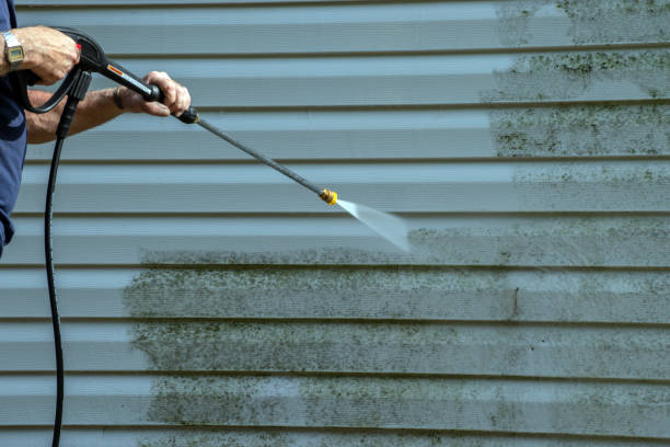 Best Roof Pressure Washing  in Myrtle Grove, NC